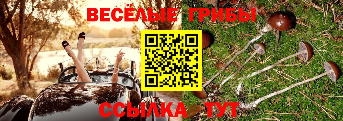 Псилоцибиновые грибы ЛСД  Вход с VPN  Унеча 